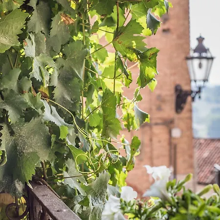 Bed & Breakfast Antico Tralcio 4*