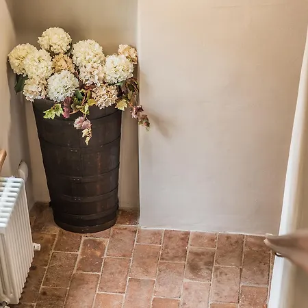 Bed and Breakfast Antico Tralcio