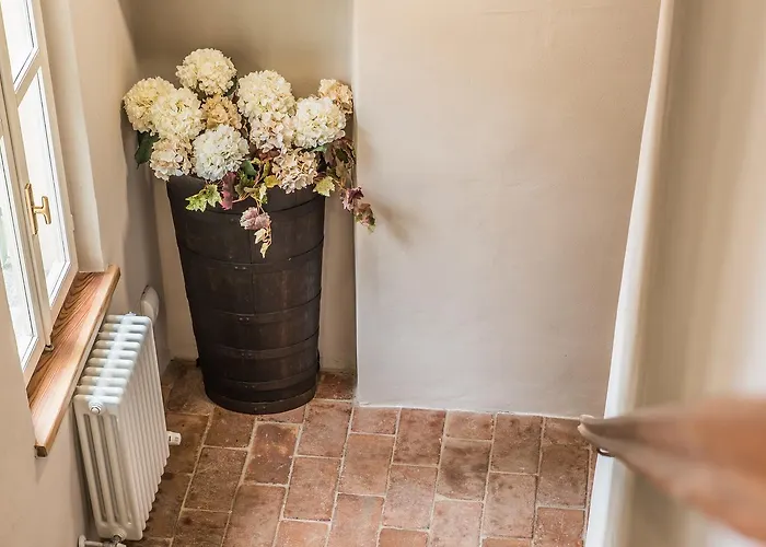 Nocleg ze śniadaniem Antico Tralcio